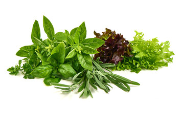 Fresh Basil, Dill, Thyme, Sage Herbs, isolated on white background