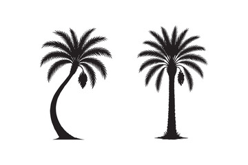 Dates tree silhouette with white background