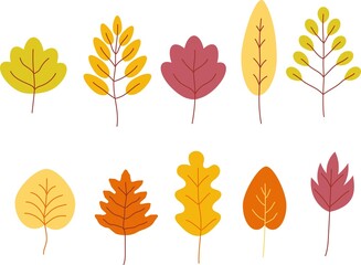 Set of colorful autumn leaves and berries isolated on white background