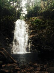 Majestic Waterfall Cascading into Jungle Pool