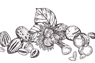 Vector composition of hazelnuts, hazelnuts, pecans, macadamias, peanuts and tree leaves. All objects are hand-drawn with ink. Illustration for printing on goods, products, tableware, kitchen textiles.