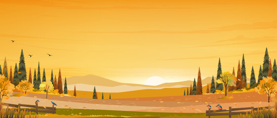 Sunset Sky background,Autumn landscape with forest tree on white background,Cartoon Scene Sunrire Sky,Cloud in Fall Season Mountain,Meadow,Orange Foliage,Vector nature with grass field in countryside