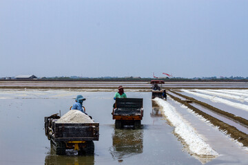 Pyramids of sea salt ready to be harvested in a salt farm at sunrise. Used as a seasoning in food,...