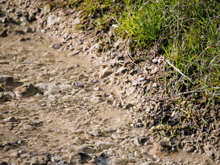 Gentle flowing water over textured ground a serene natural background