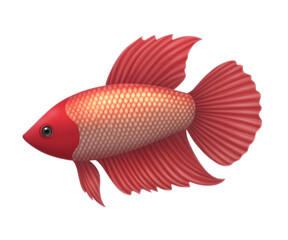 Vibrant Betta Fish with Flowing Fins Isolated on a White Background