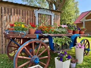 Stylish Provencal-style flower garden in a country house in summer. High quality photo