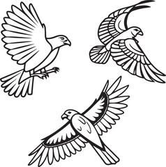 Flying Birds Silhouette Vector Set – Black and White Bird Illustration for Design and Decoration