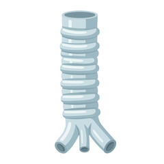 Grey Medical Trachea with Bronchi Illustration Isolated on White