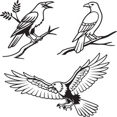 Flying Birds Silhouette Vector Set – Black and White Bird Illustration for Design and Decoration