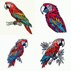 A Scarlet macaw. Funny Happy Retro Cartoon Clipart Silhouette Line Art Vector Illustration. crimson parrot observing habitat diet and bright feather coloration.