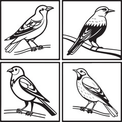Flying Birds Silhouette Vector Set – Black and White Bird Illustration for Design and Decoration