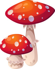 Fly Agaric