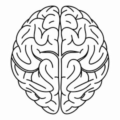 Naklejka premium Simple black line drawing of a human brain viewed from above anatomy medical