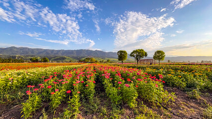 spring landscape with flowers