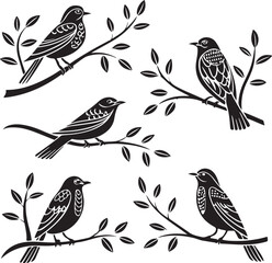 Flying Birds Silhouette Vector Set – Black and White Bird Illustration for Design and Decoration