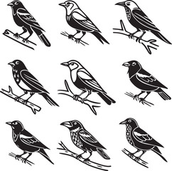 Flying Birds Silhouette Vector Set – Black and White Bird Illustration for Design and Decoration