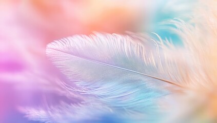 Obraz premium Soft white feather close-up, vibrant pastel colors