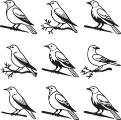Flying Birds Silhouette Vector Set – Black and White Bird Illustration for Design and Decoration