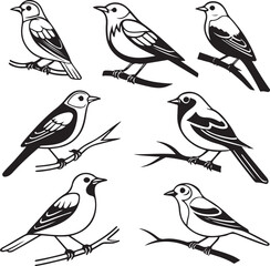Flying Birds Silhouette Vector Set – Black and White Bird Illustration for Design and Decoration