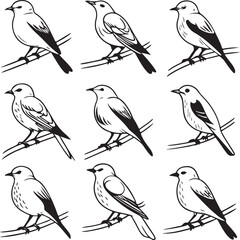 Flying Birds Silhouette Vector Set – Black and White Bird Illustration for Design and Decoration