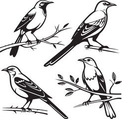Flying Birds Silhouette Vector Set – Black and White Bird Illustration for Design and Decoration