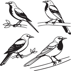 Flying Birds Silhouette Vector Set – Black and White Bird Illustration for Design and Decoration