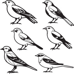 Flying Birds Silhouette Vector Set – Black and White Bird Illustration for Design and Decoration
