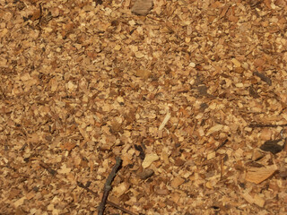 Wood chip texture, organic background, wood waste, sawdust, woodworking