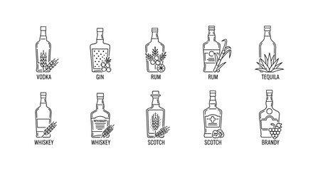 A collection of alcohol bottles outlined illustrations featuring vodka, gin, rum, tequila, whiskey, scotch, and brandy, showcasing decorative elements like wheat, grapes, and