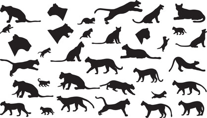Big Cat Silhouette Vector Set – Leopard, Tiger, Panther, Wild, Animal, Predator, Nature, Jungle, Illustration, Silhouette, Beast, Hunter, Graphic, Zoo, Mammal