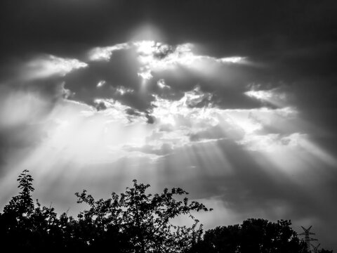 Silhouettes of trees against the backdrop of a sunset with bright rays of sun