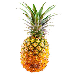 Fresh pineapple against black background