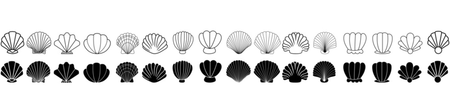 Seashell vector icon set. Shell illustration sign collection. conch symbol. Sea Life web icons.