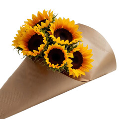 Hand Holding a Bright Sunflower Isolated on White Background

