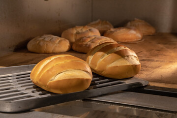 pane panini farina casatiello napoletano forno crostini pizzette sfilatino rosette ciambelle taralli food
