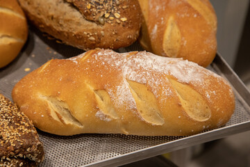 pane panini farina casatiello napoletano forno crostini pizzette sfilatino rosette ciambelle taralli food