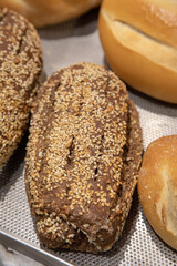 pane panini farina casatiello napoletano forno crostini pizzette sfilatino rosette ciambelle taralli food