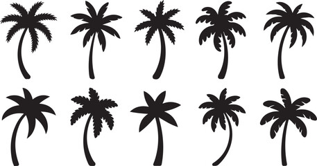 Obraz premium palm silhouettes