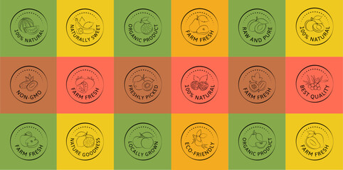 Vector Fruit Stamps and Emblems with Text in Clean Hand-Drawn Style