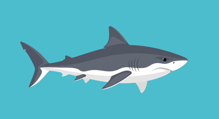Animated great white shark gliding through azure waters provides a visually appealing aesthetic illustration of ocean life aquatic predator symbol