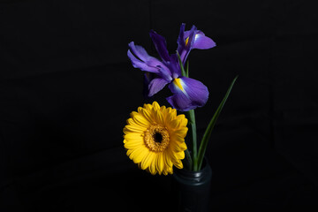 spring flowers in vase