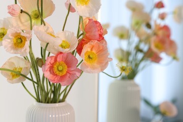 Bouquet of beautiful poppy flowers indoors, closeup