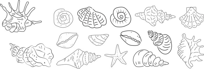 Set of hand-drawn seashell illustrations with dark background. Elegant and minimal marine design ideal for beach themes, summer graphics, or tropical nature collections.