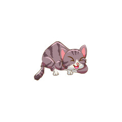 Vector illustrations of cat different breeds set, cute pet animals, lovely kitten on white background in flat style design.