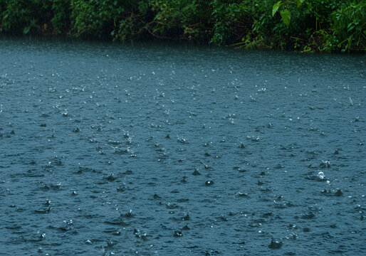 Rain drops on water surface
