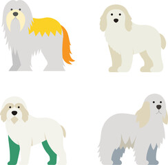 Komondor Dog Color Vector Illustration