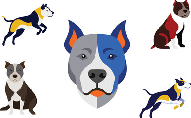 Pit Bull Dog Color Vector Illustration