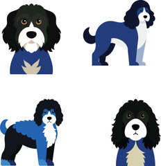 Portuguese Water Dog Color Vector Illustration