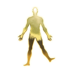 Shining golden male physique, alpha channel

