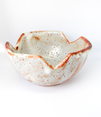 The ceramic cup has been adapted for planting small pot plants